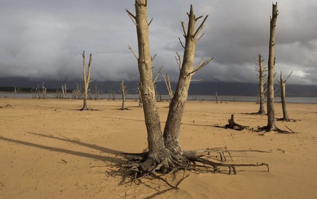 Climat: les canicules africaines très largement ignorées