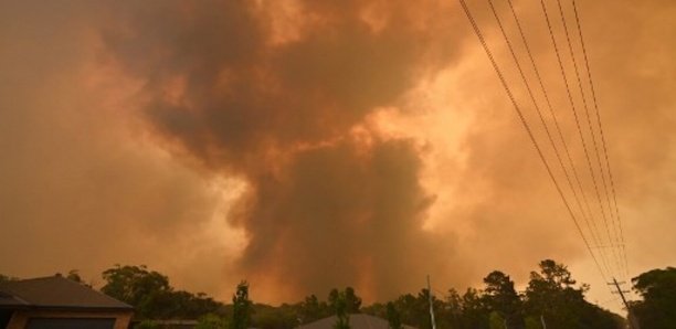 Feux de brousse : Plus de 14 mille hectares brûlés en une semaine