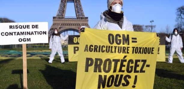 Greenpeace et Changing markets accusent : « De grandes entreprises européennes complices de l’insécurité alimentaire en Afrique de l’Ouest »