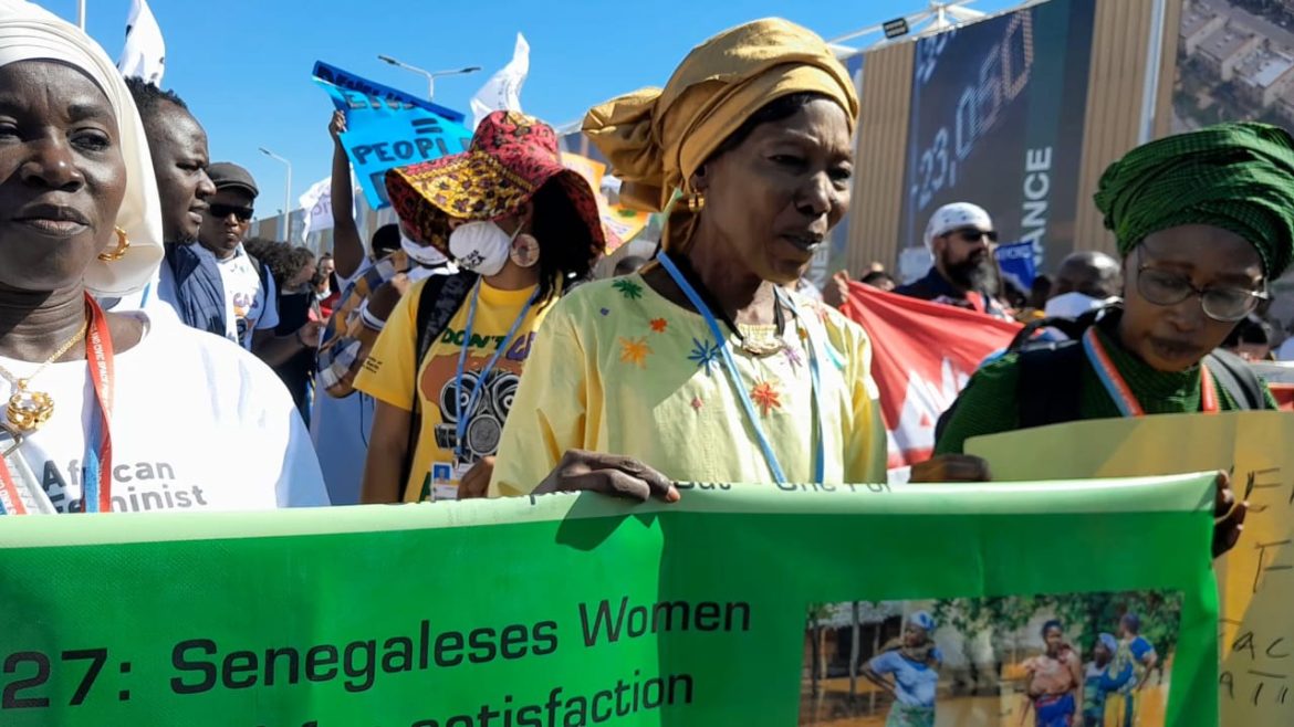COP 27 SHARM EL CHEIKH/ PLAIDOYER DES FEMMES LEADERS AFRICAINES pour faire face aux effets néfastes du dérèglement climatique.