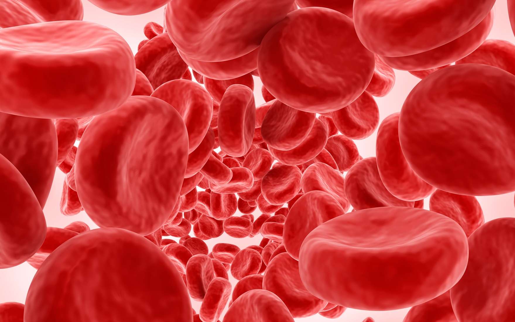 Hémophilie : Diagnostic de la maladie du  sang  qui ne coagule pas